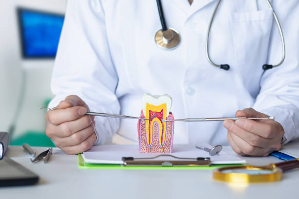 Best Emergency Dental Extractions in Humboldt Hill, CA